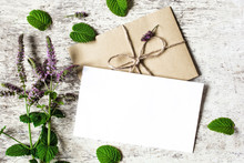 Blank White Greeting Card And Envelope With Purple Wildflowers Of Mint