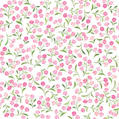  Floral white pattern. Flower seamless background. Flourish ornament. Spring garden texture