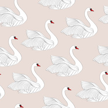  Seamless Pattern With White Swans. White Bird Ornamental Tile Background