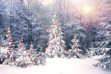 Poster - fog and frost in the Carpathians