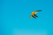 Motorized Hang Glider Flying On Blue Clear Sunny Sky Background
