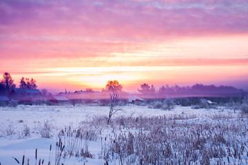 Wall Mural - winter rural landscape with sunrise and fog