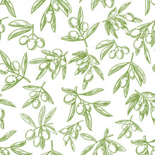 Olive Fruit Sketches Seamless Pattern Background