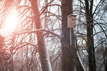 Birdhouse In A Tree In Winter