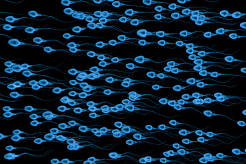 Poster - x ray group of sperms