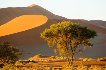  Sussusvlei Deadvlei - Namibia