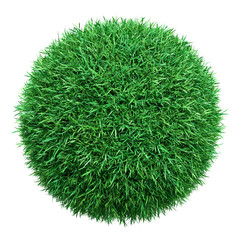 Wall Mural - green grass ball. isolated on white