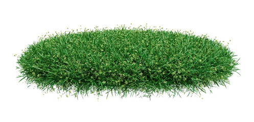 Wall Mural - grass circle isolated on white background