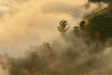 Fototapeta Na sufit - Mountain Mist in sunrise,mist on sunrise,mist over mountain during sunrise