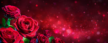 Valentine Card - Bouquet Of Red Roses On Shiny Background
