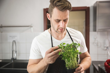 Wall Mural - Chef holding pot with lemon balm