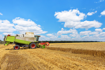 Fototapete - Combine harvester on a wheat field with blue sky.