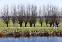 Frozen Water Polder Landscape In The Netherlands