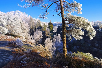 Poster - Elbsandsteingebirge im Winter  - Elbe sandstone mountains in winter