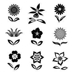 Wall Mural - Flower icons set. Chamomile, daisy, orchid, cloves. Floral symbols. Flat graphic signs with leaves. Black silhouettes on white background. Vector isolated