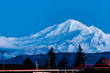 Snow covered Mount Baker during a beautiful blue hour