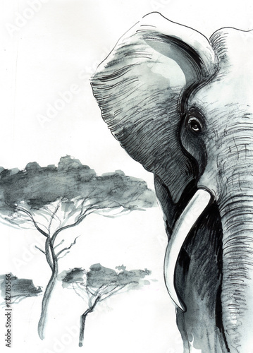 Fototapeta do kuchni Rysunkowy czarno biały afrykański słoń