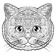 British cat face doodle coloring book page for adult. Vector illustration.