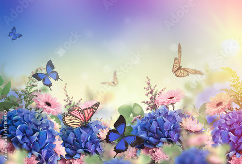 Leinwand Poster Amazing background with hydrangeas and daisies