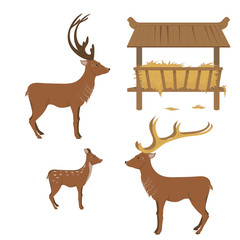 set deer feeder