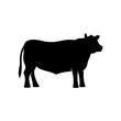 Black angus beef bull standing vector silhouette
