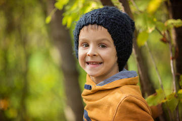 Wall Mural - Autumn portrait of beautiful boy in the park