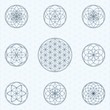 Flower of life. Sacred geometry linear contour icons