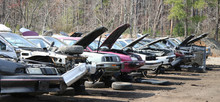 Junker Cars In A Row With Hoods Up In Auto Salvage Yard. Horizontal.