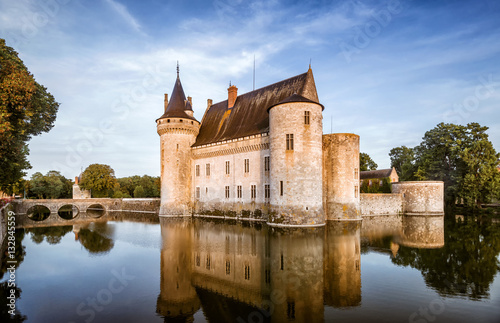 Plakat Zamek Sully-sur-Loire, Francja