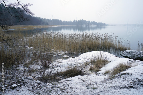 Fotografie, Obraz Winter landscape with snow of the Seurasaari island (Folison) in Helsinki