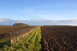 plowed fields and hedgerow