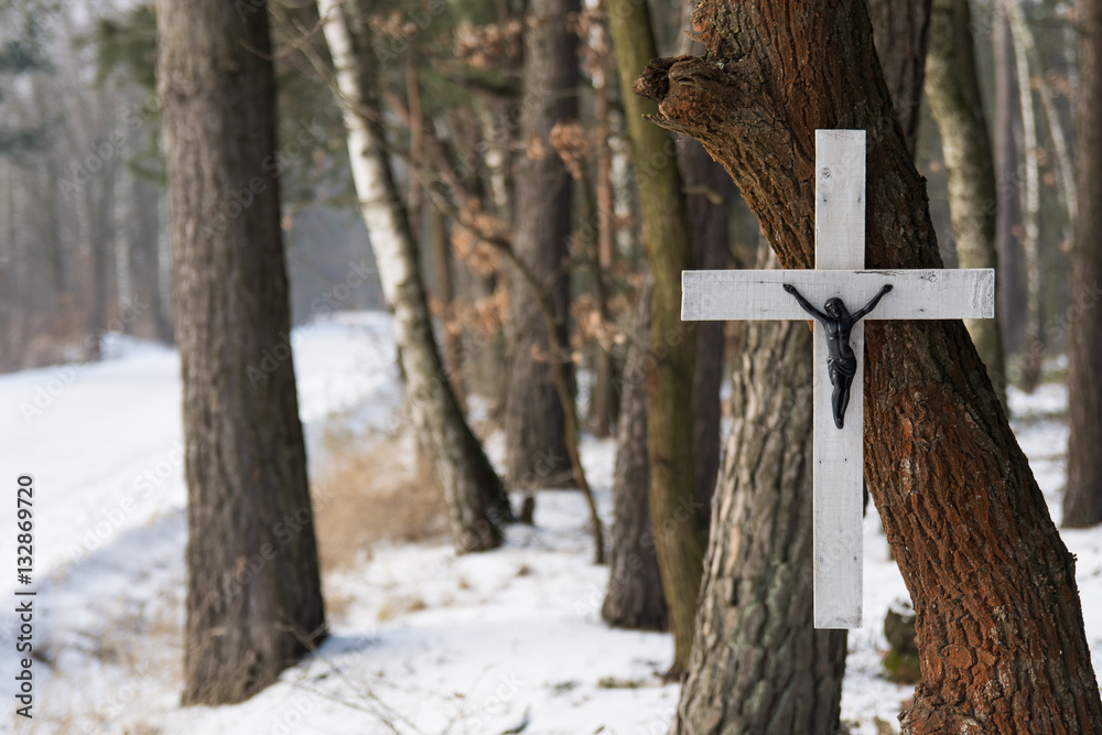 Obraz na płótnie Krzyż na drzewie w lesie zimą w salonie