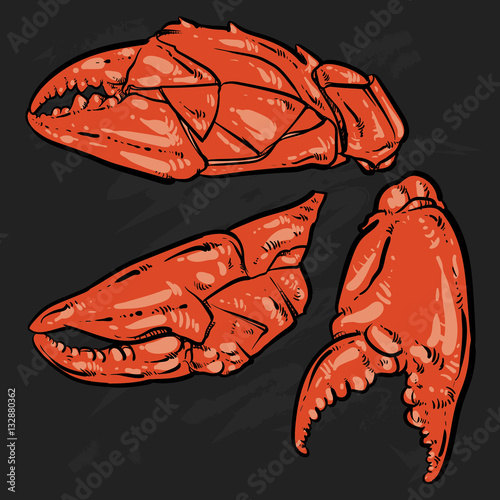 Hand drawn crab vector. Crab claws isolated on black background. Stock