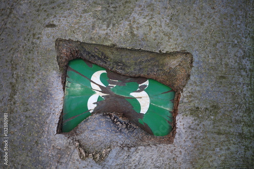Fotografia View of a metal shield embedded in a tree with the number 83