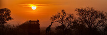 African Safari Sunset Silhouette