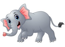Cute Cartoon Elephant Walking