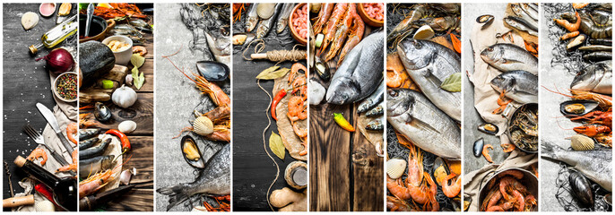 Wall Mural - Food collage of seafood .