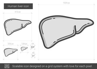 Wall Mural - Human liver line icon.