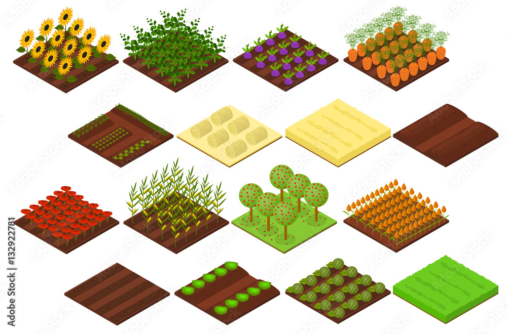Farm Set Isometric View. Vector Stock Vector | Adobe Stock