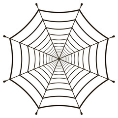 Poster - cobweb  spiderweb gossamer