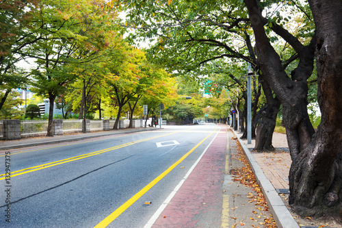 Zdjęcie XXL Droga miejska z zielonymi drzewami w Seulu