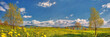 Spring Landscape Panorama