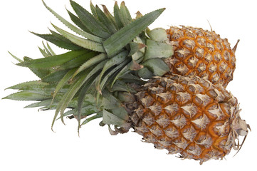 Two pineapple