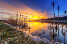 Winter Sunrise At The Pond In Poland
