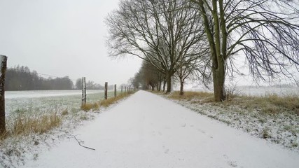 Wall Mural - falling Snow on a country road with trees and agricultural fields in germany