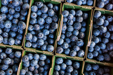 Blueberries For Sale At A Farmers Market In France.  