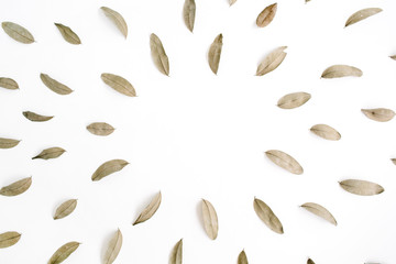 Wall Mural - Dried brown leaves frame on white background. Flat lay, top view