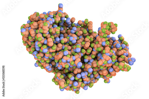 Fotografie, Obraz Molecule of ricin isolated on white background, 3D illustration, a highly toxic