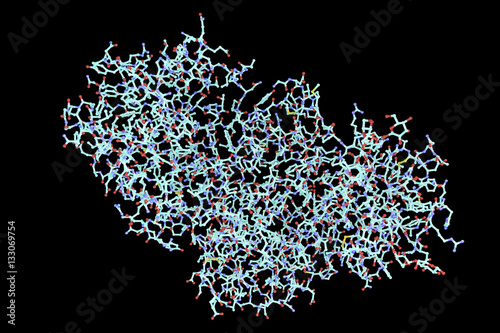 Fotografie, Obraz Molecule of ricin, 3D illustration, a highly toxic protein produced in seeds of
