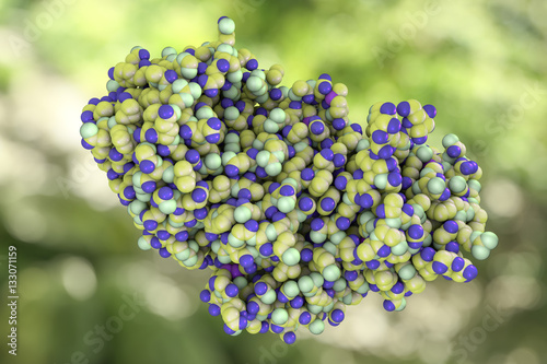 Fotografie, Obraz Molecule of ricin, 3D illustration, a highly toxic protein produced in seeds of